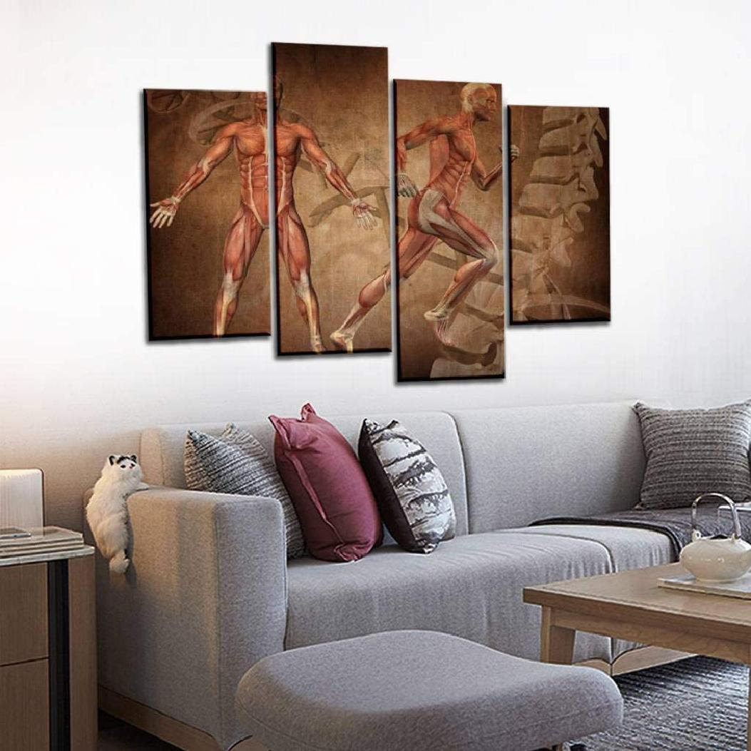 Trinx Canvas Pictures Human Anatomy Male Muscles 3D Wall Human Anatomy