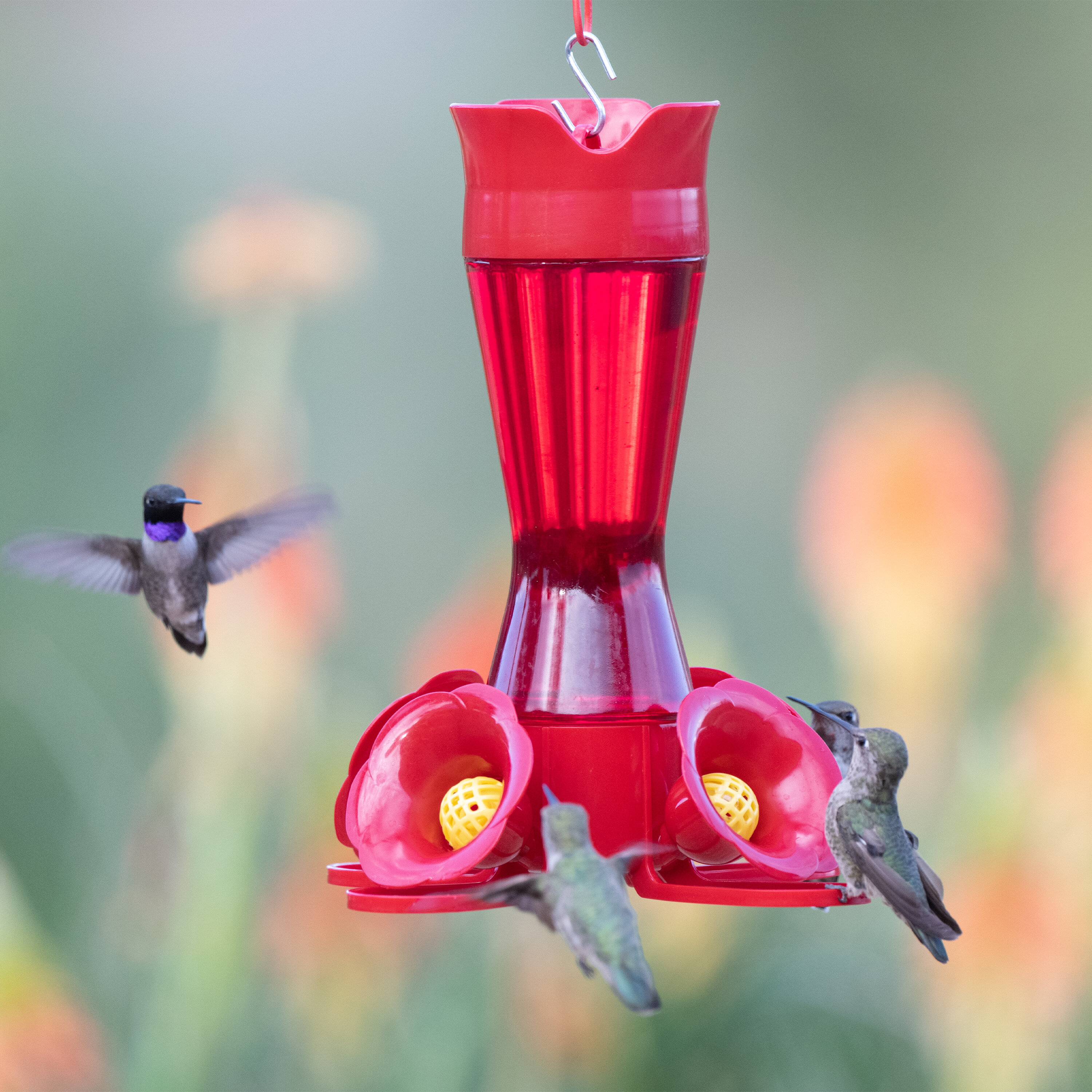Perky-Pet Red Plastic Hummingbird Hanging Nectar Feeder 30 oz Capacity 6 ports 