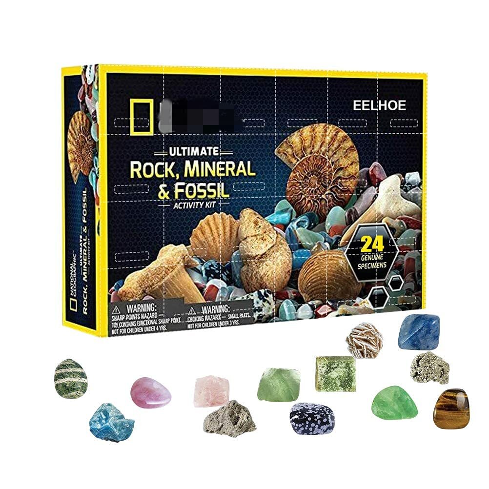 Fossil Dig Kit for Kids Christmas 24 Days Countdown Calendar with Gemstones Rock Mineral Ore Christmas Advent Calendar Healing Crystal Advent Calendar Christmas Countdown Calendars A-24Days