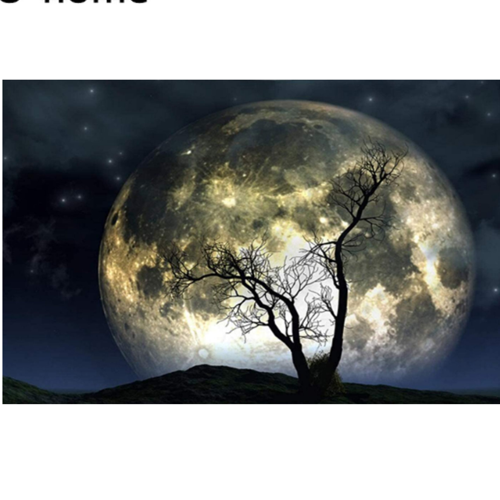 Ohome Moon Galaxy Tapestry Wall hanging Wayfair