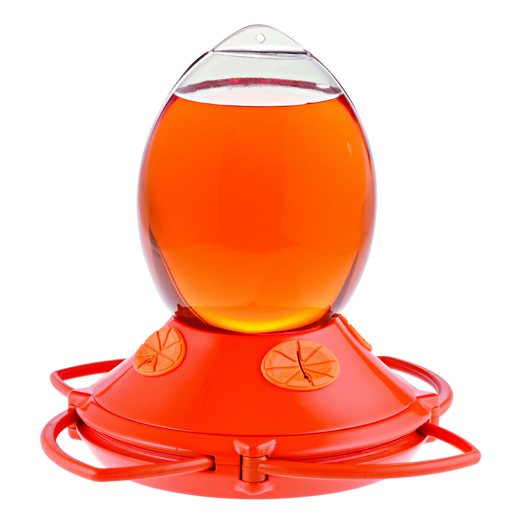 Latitude Run® Diera Perky Pet Opus Oriole Hummingbird Feeder Wayfair