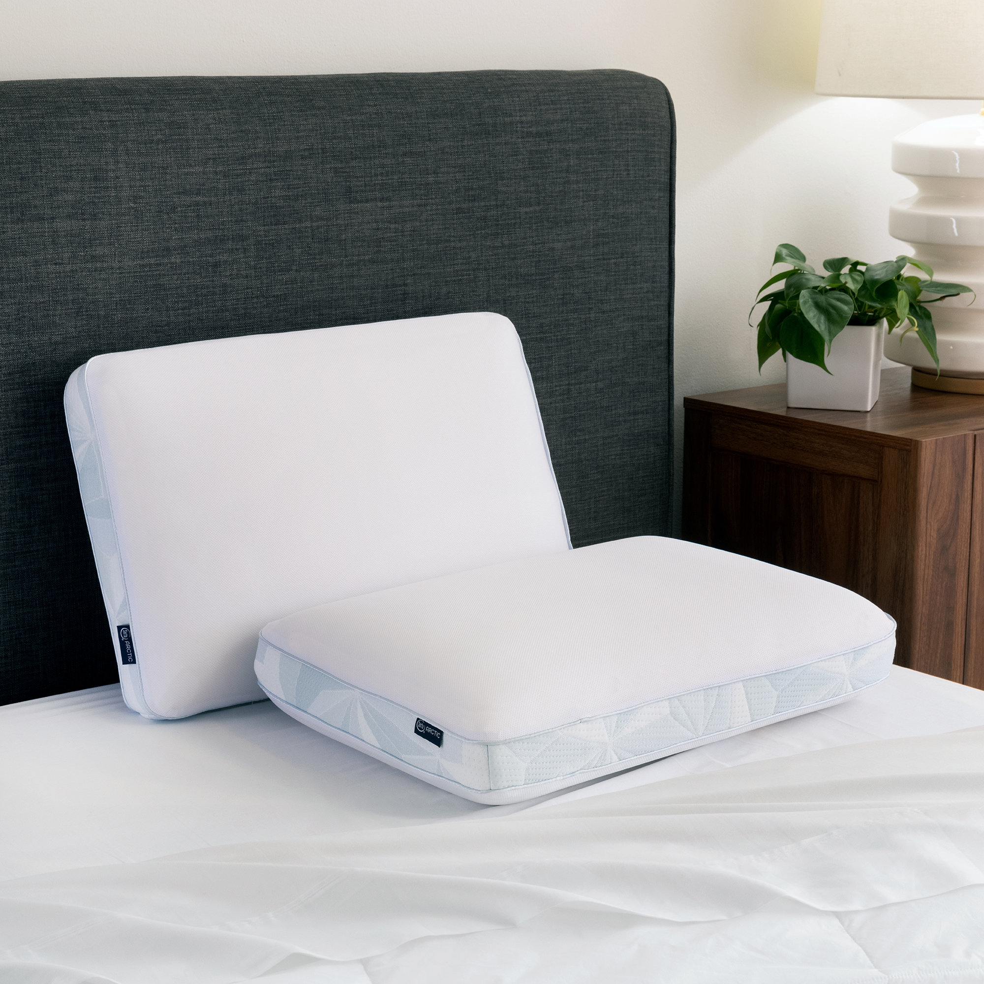 Serta Arctic Cooling Gusseted Memory Foam Bed Firm Support Pillow & Reviews Wayfair