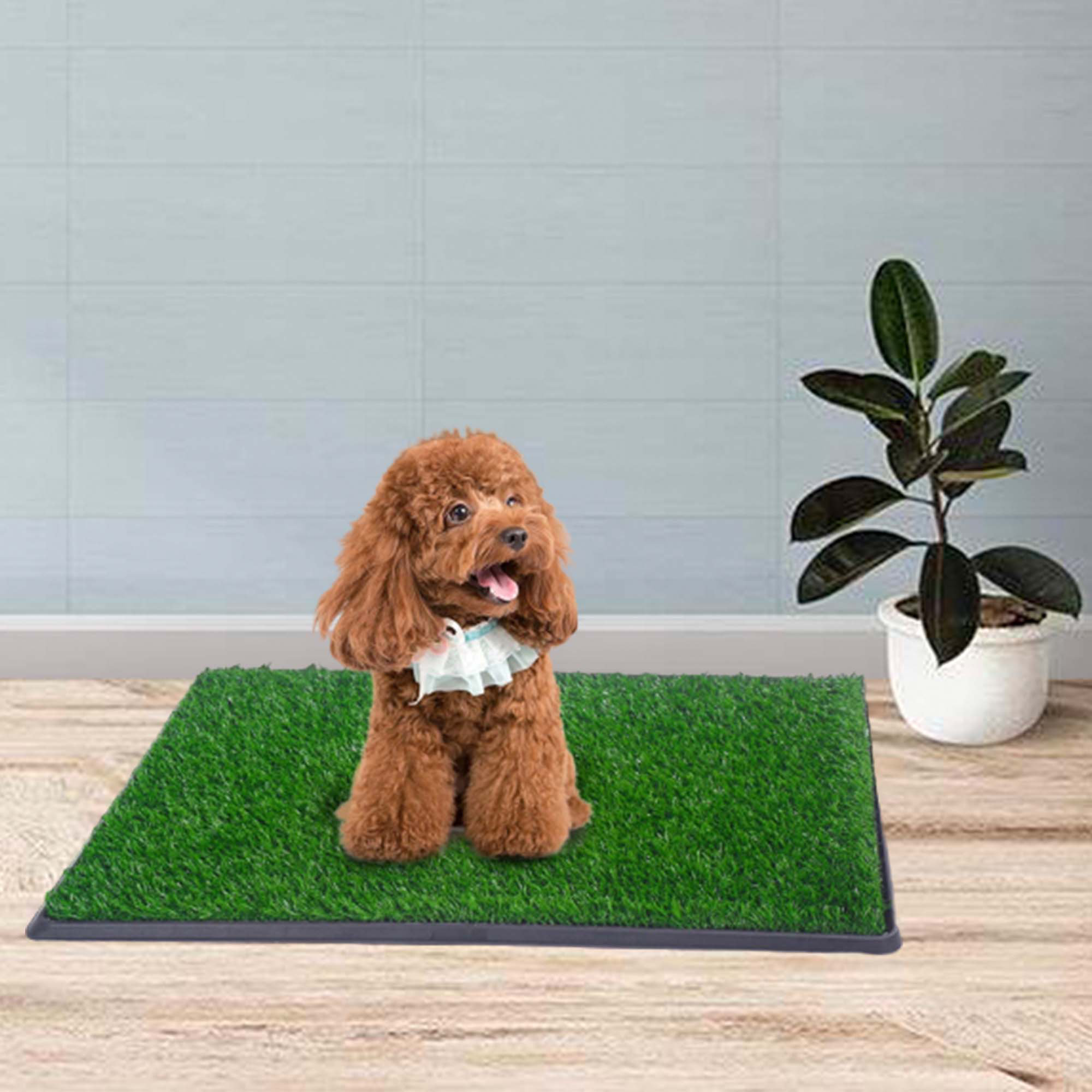 Tucker Murphy Pet™ Chambria Artificial Grass Dog Sofa Wayfair
