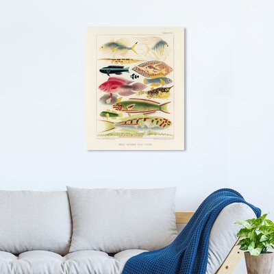 Oliver Gal 'Great Barrier Reef Fishes' Animals Green Wall Art Canvas Print -  41184_16x20_CANV_XHD