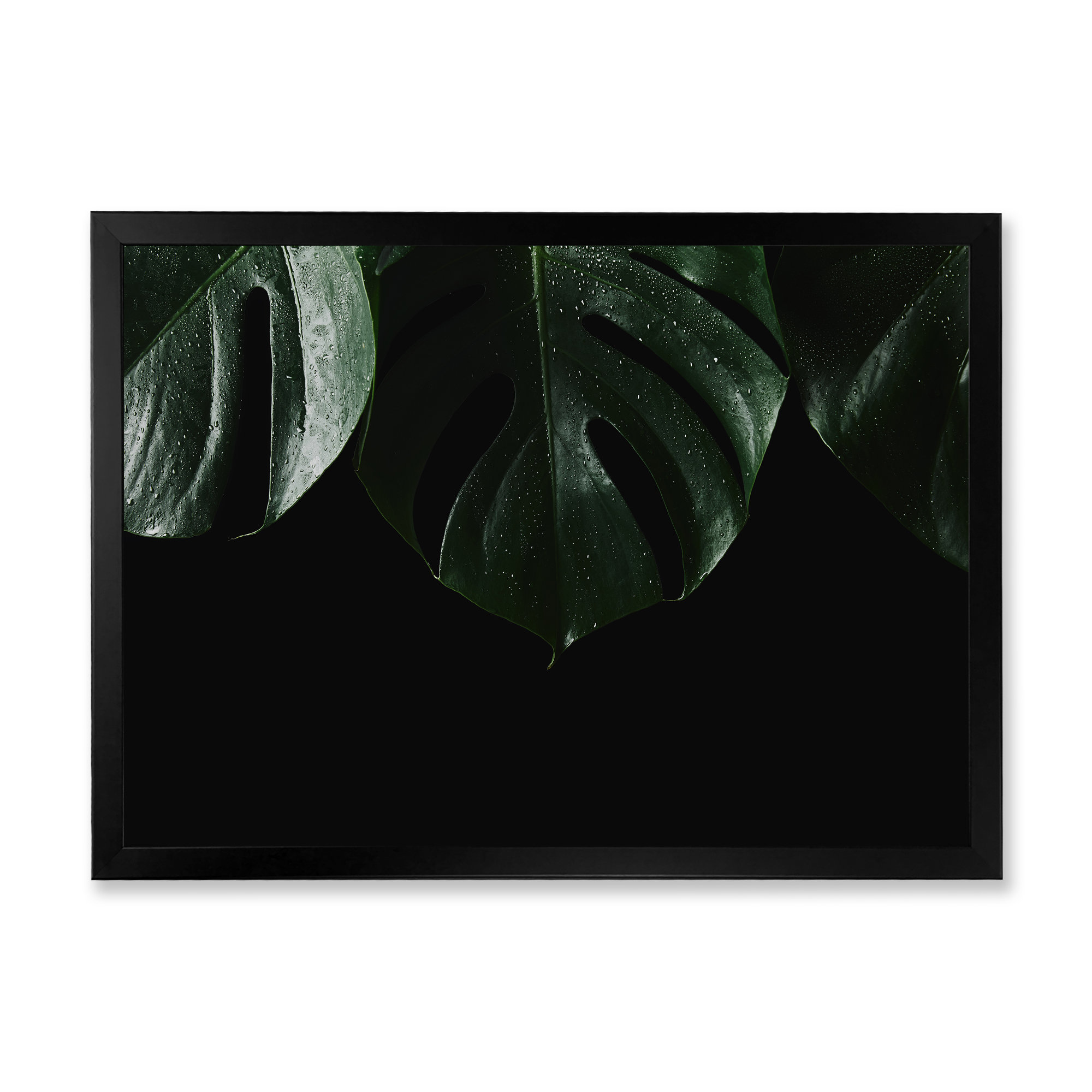 Wrought Studio Close View Green Leaves Close View Green Leaves on
