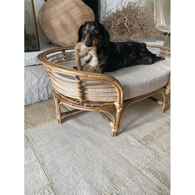 rattan dog bed suppliers
