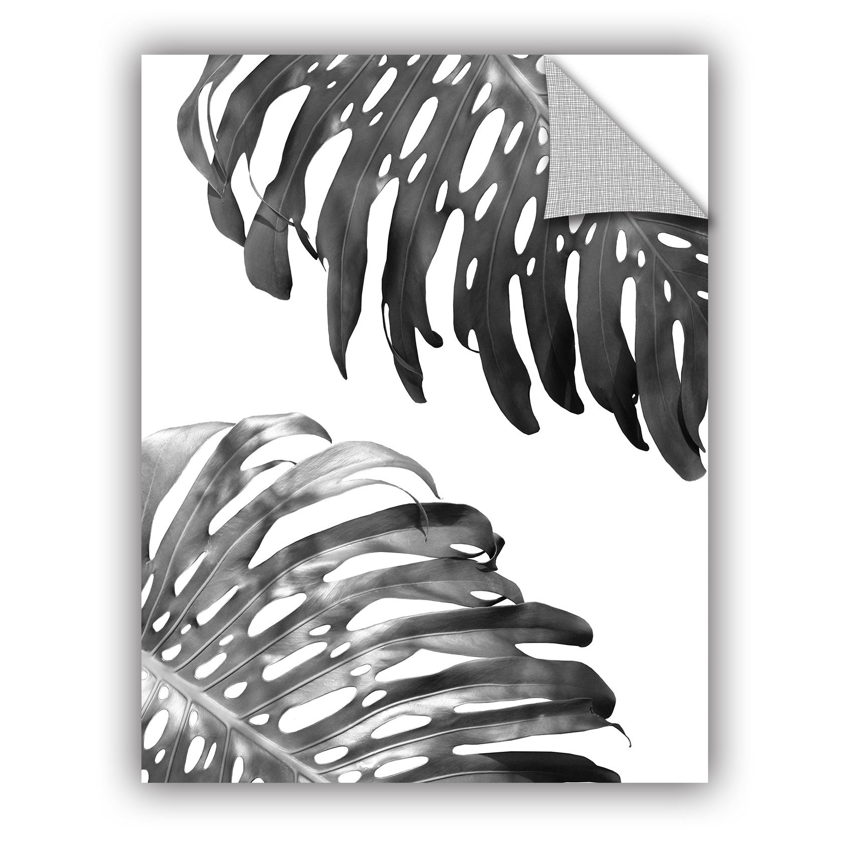 Bay Isle Home Glenam Double Philodendron BW Removable Wall Decal Wayfair