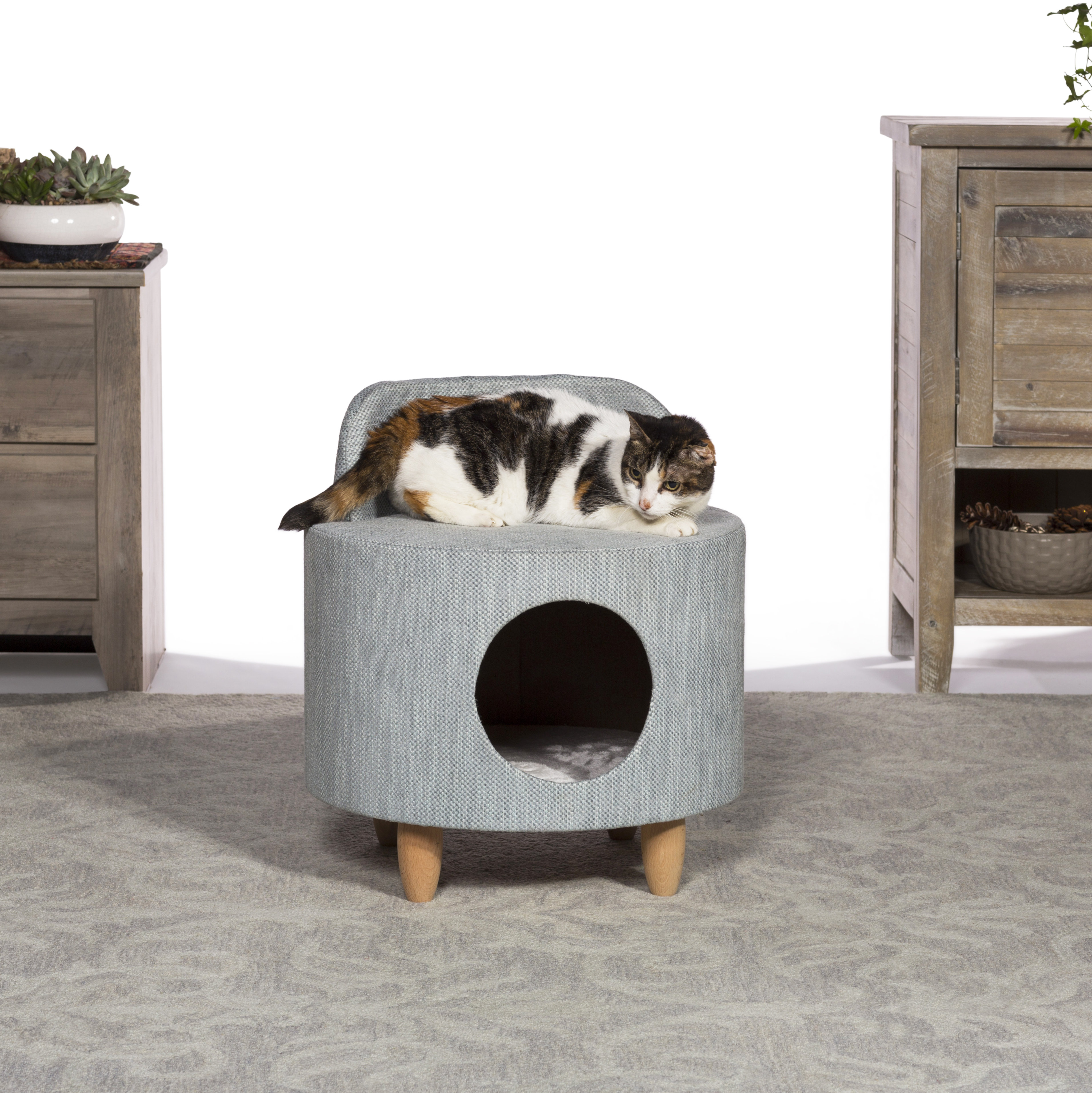 cat tree for small dog