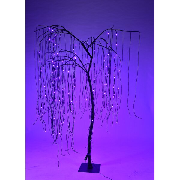 5.5' Outdoor Weeping Willow Twig Tree with 160 Multi Colour LED Lights 