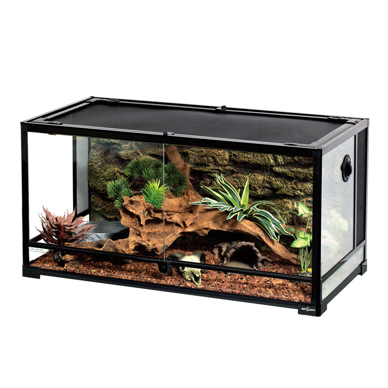 cool reptile tank decor