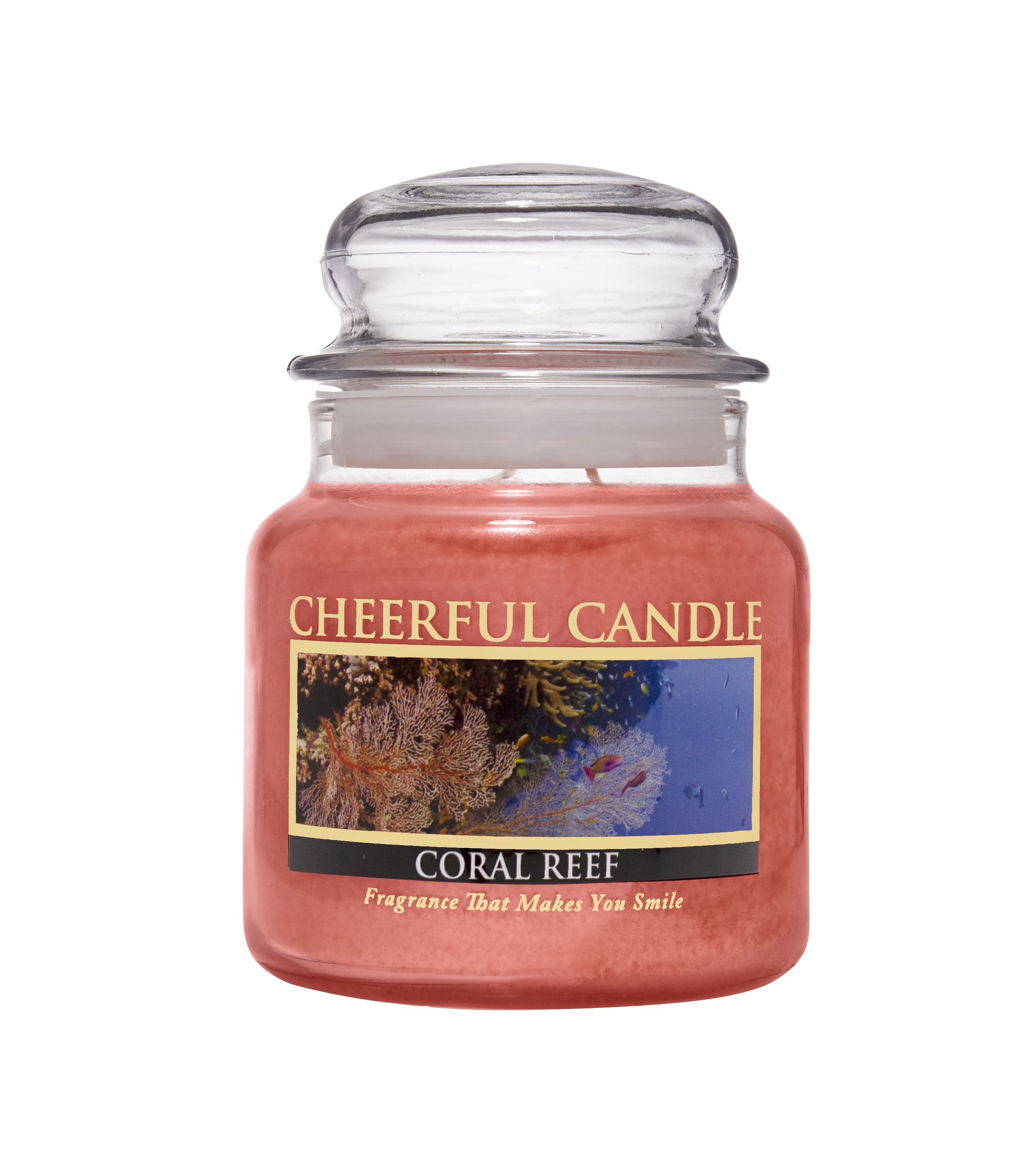 A Cheerful Candle LLC Coral Reef Scented Jar Candle Wayfair