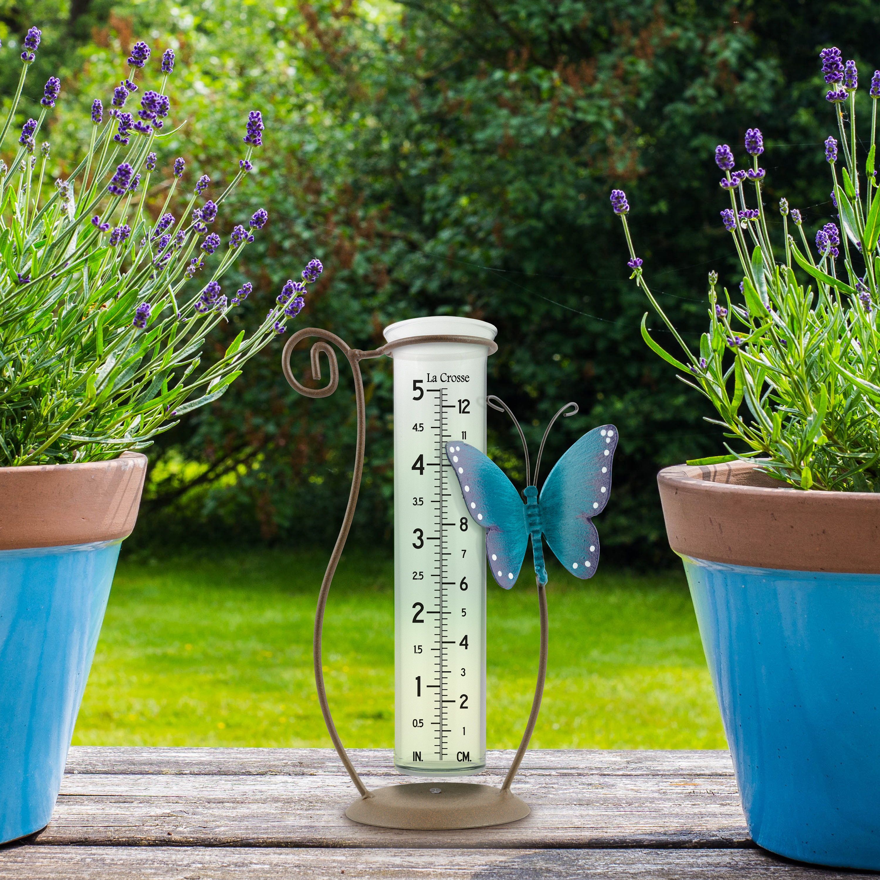 La Crosse Technology La Crosse Butterfly Metal Rain Gauge with 5" Glass Tube Wayfair