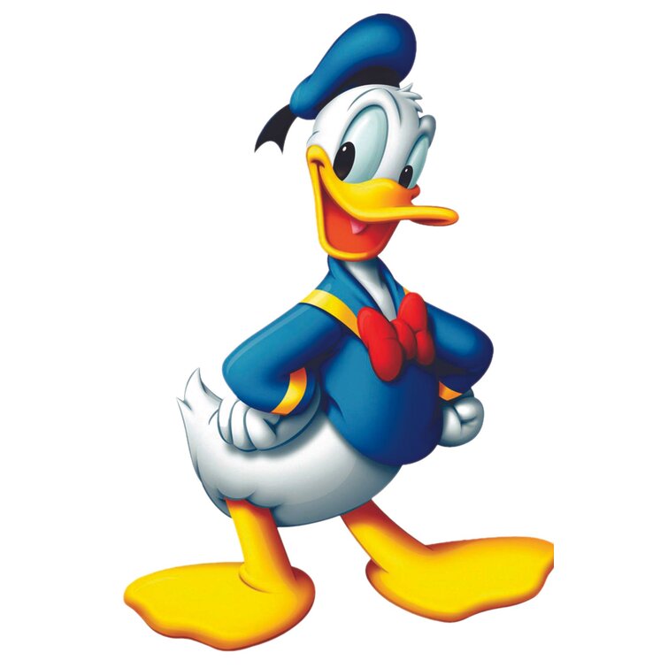 Design With Vinyl Donald Duck Walt Disney Cartoon Decors Wall Decal -  Wayfair Canada