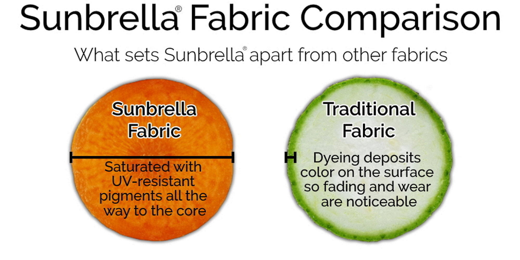 North Cape International Sunbrella Outdoor Loveseat Cushion & Reviews Perigold