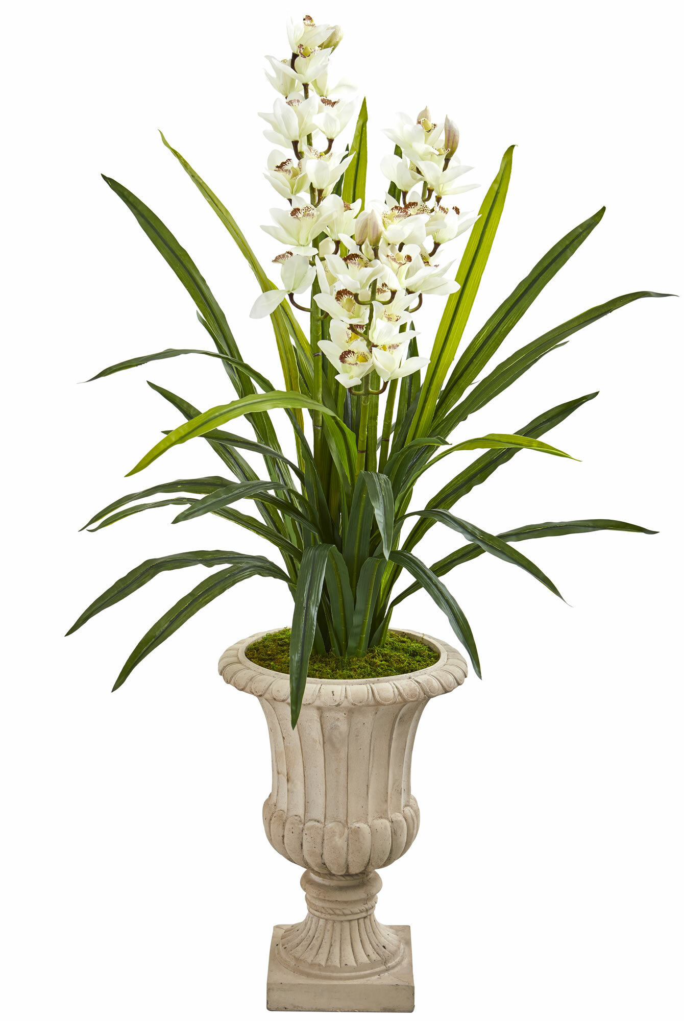 Charlton Home® Artificial Cymbidium Orchids Floral Arrangement In Vase Wayfair
