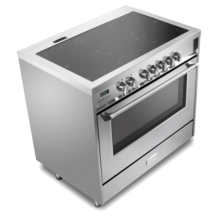 induction upright cooker