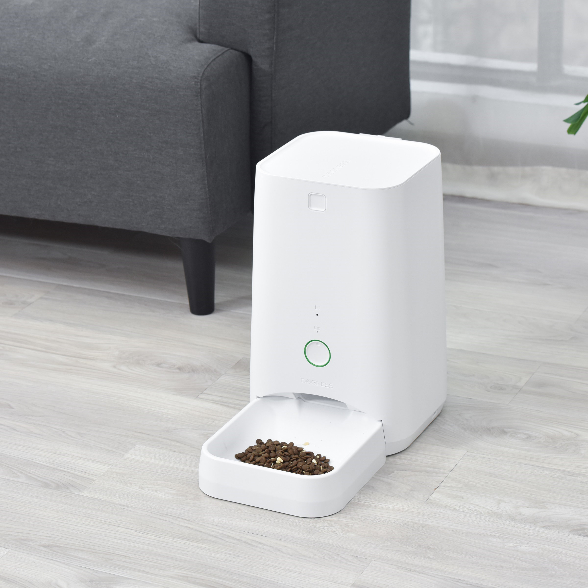 Dogness App Automatic Feeder Wayfair