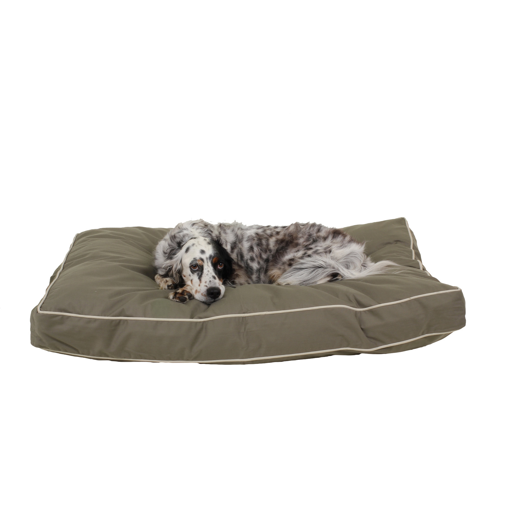 ll bean pendleton dog bed