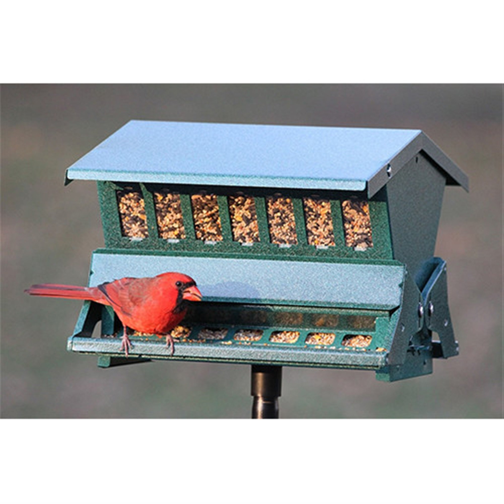 Woodlink Absolute II Squirrel Resistant Bird Feeder 7536 Wayfair