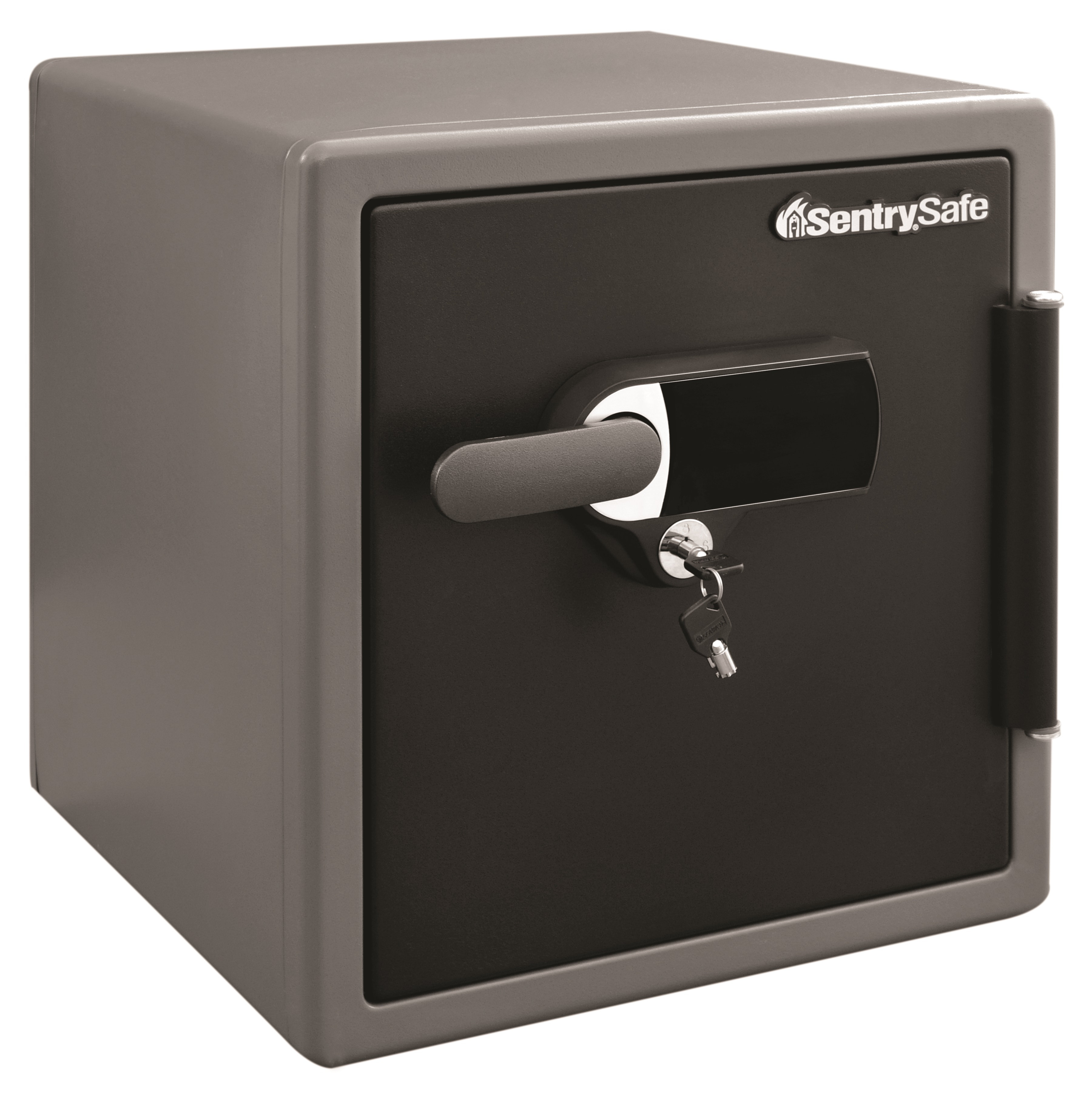 SentrySafe Alarm Security Safe with DualLock & Reviews Wayfair