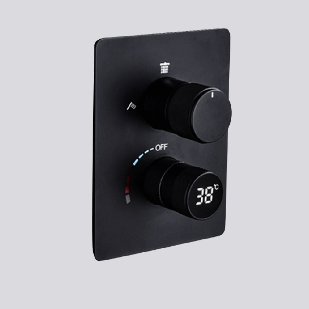 FontanaShowers 22" Matte Black Rainfall Shower System & 3 Jetted Body