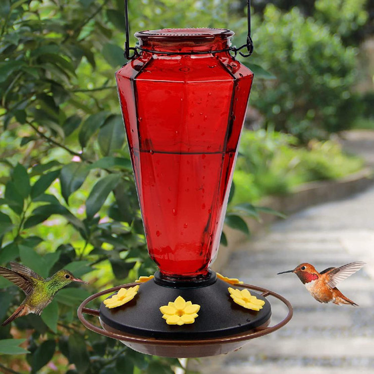 Pet Supplies Garden Outdoor Decor Glass Bottle Ports 16-oz Hummingbird Feeder 
