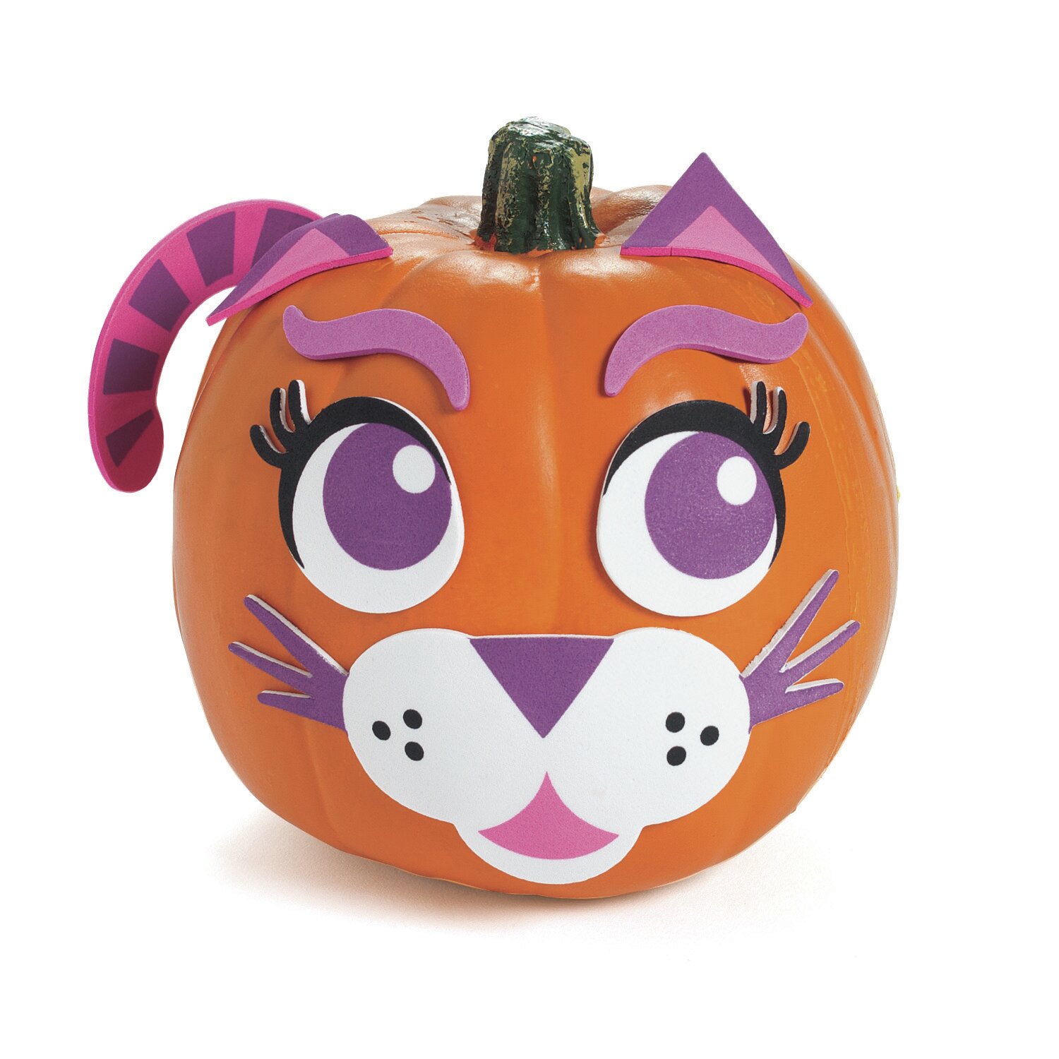 The Holiday Aisle® 12 Piece Cat Pumpkin Decorating Craft Kit Set | Wayfair