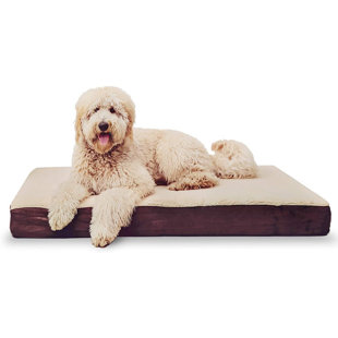 kopeks dog beds uk