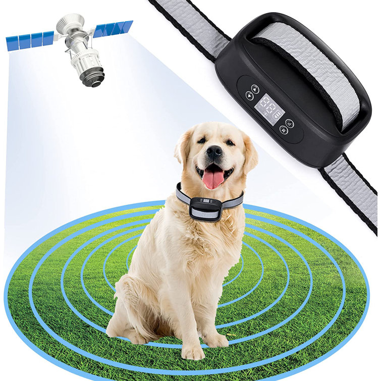 Heavently Furnishings WIEZ GPS Wireless Dog Fence, Electric Fence With GPS, Range 100-3300 Ft, Adjustable Warning Strength, Rechargeable, Pet Containment System, Harmless And Suitable For All Dogs | Wayfair