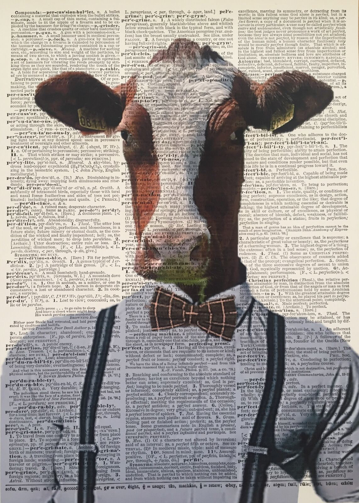 Maturi A3 Cow Dictionary Print Farm Animal Wall Art Funny Humanised