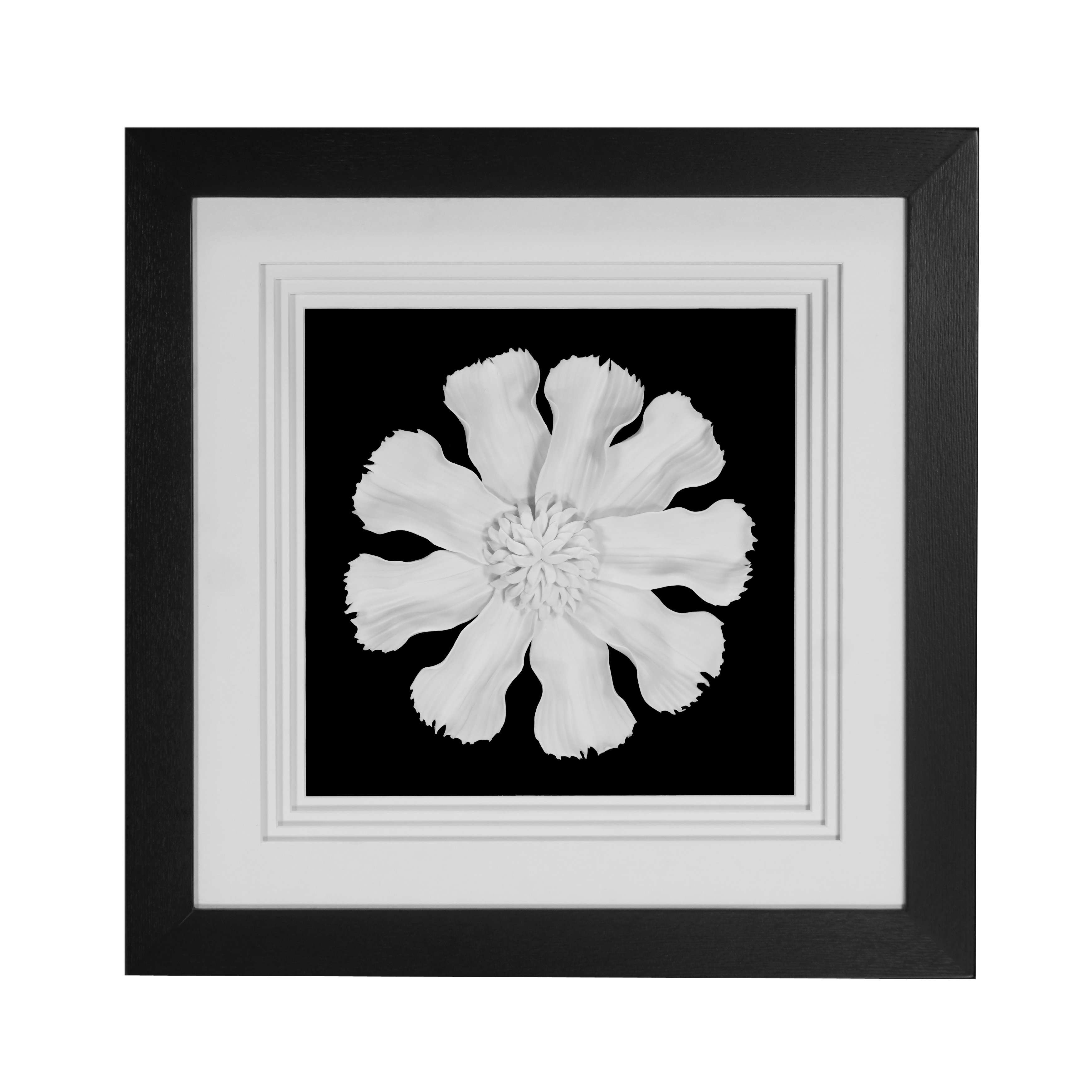 Red Barrel Studio® Ceramic Flower Shadow Box Wall Décor Wayfair