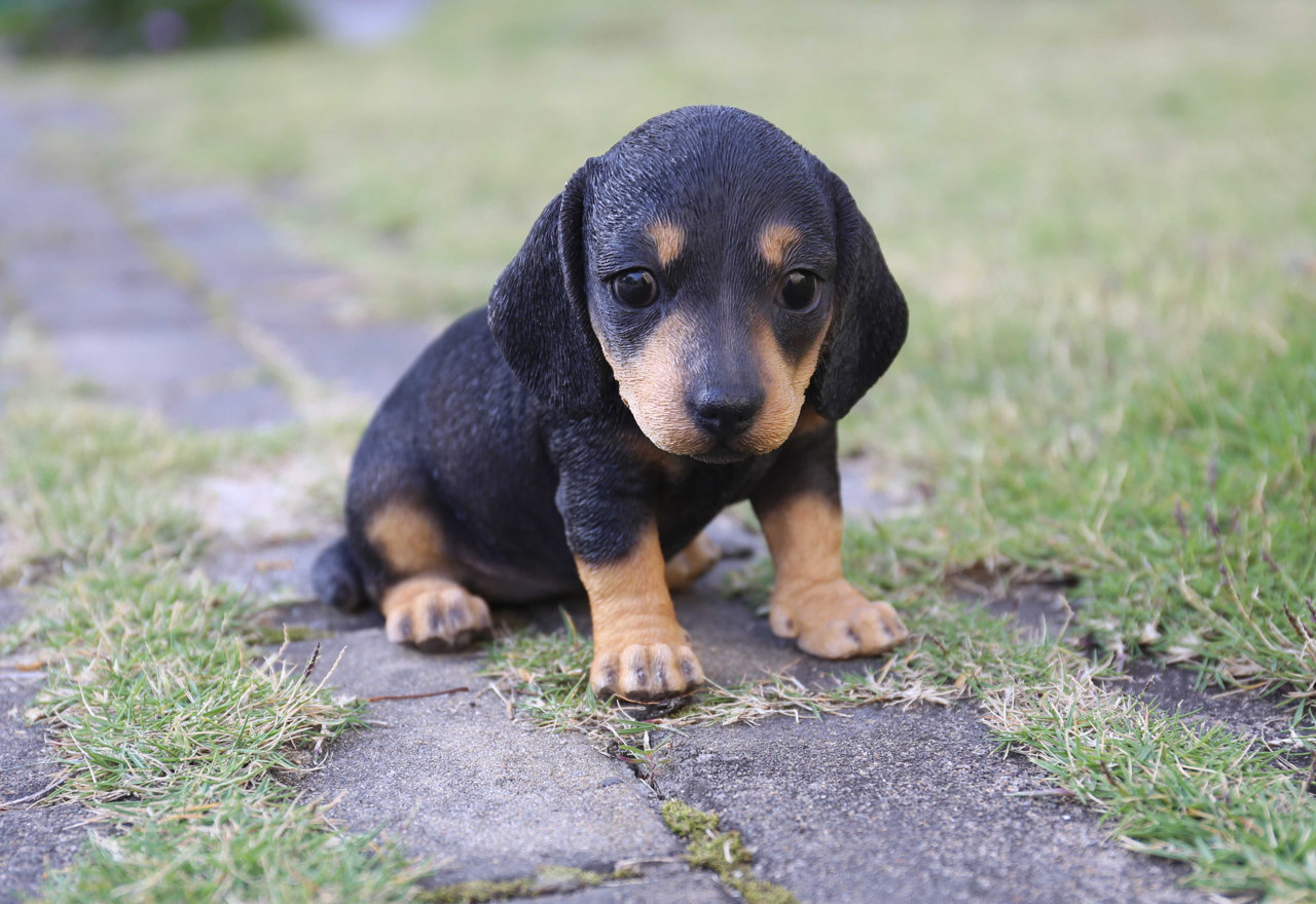 [BIG SALE] Garden Statues for Animal Lovers You’ll Love In 2023 Wayfair