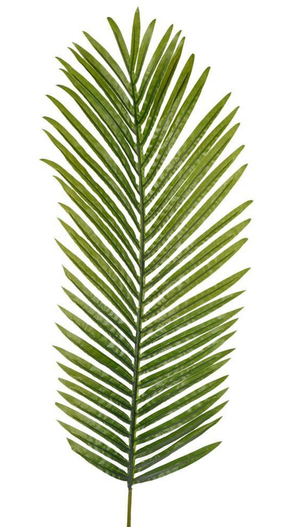 Bay Isle Home 44'' Faux Palm Stem Wayfair