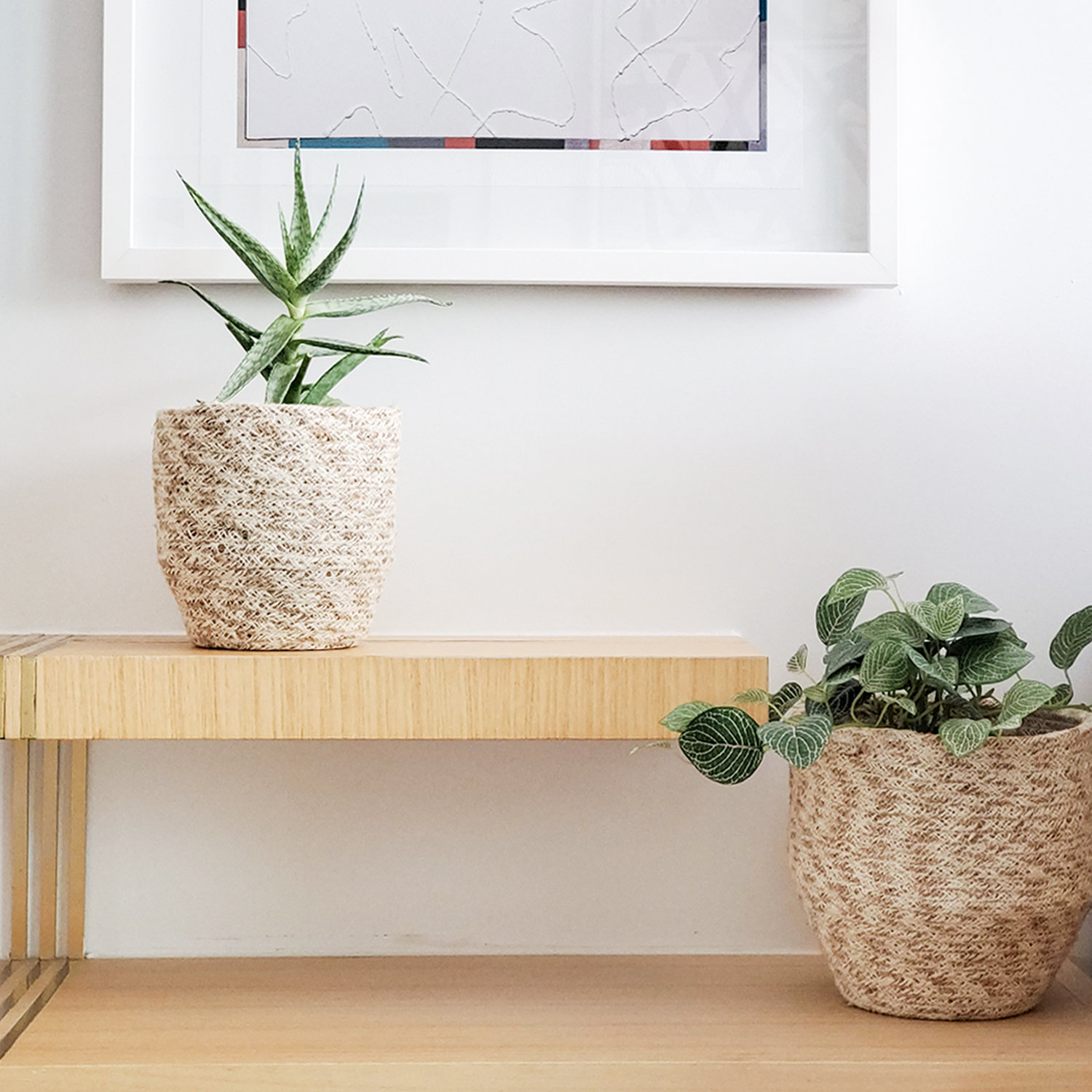 Bayou Breeze Jute Storage Bin & Reviews Wayfair