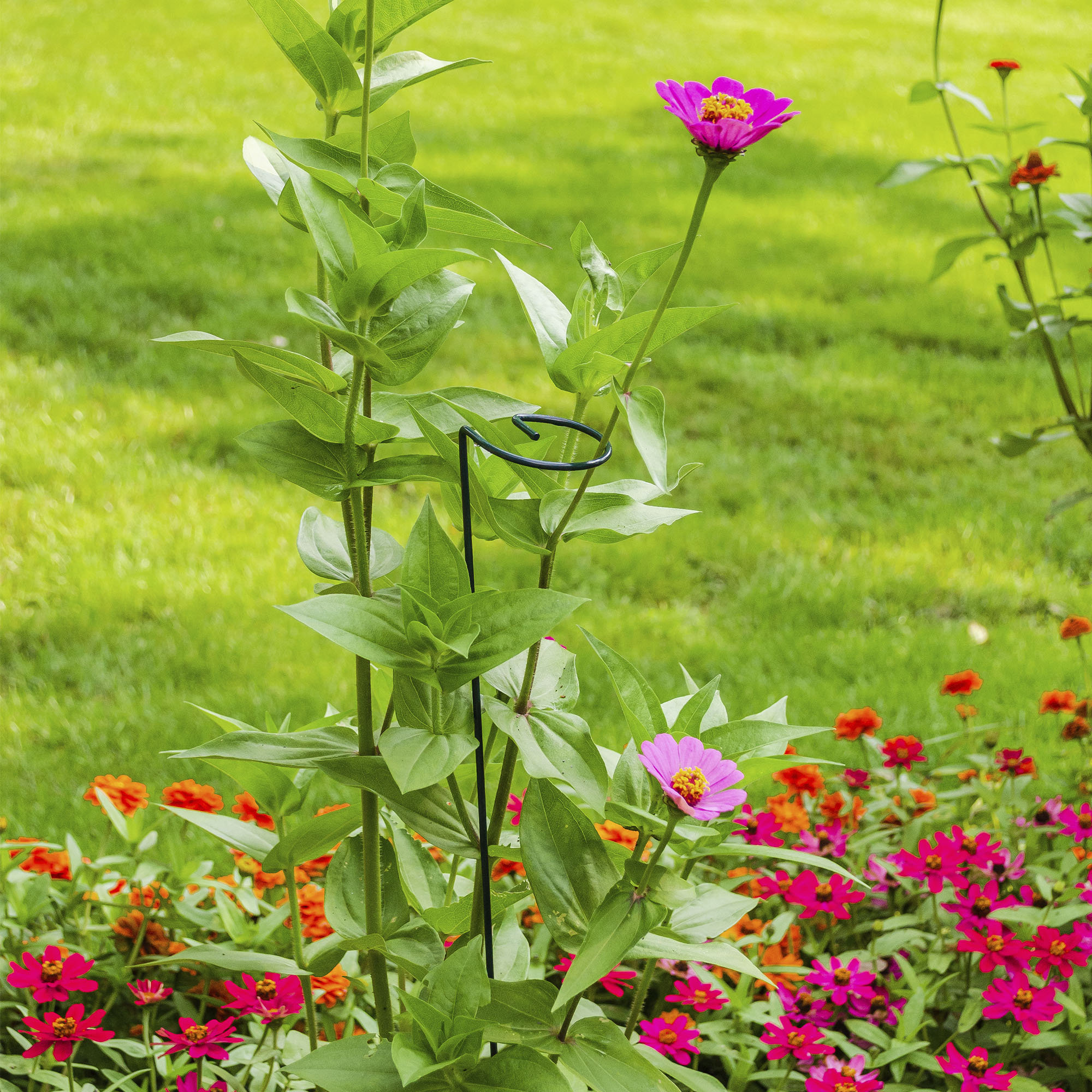 Winston Porter Lebec Plant Support Wayfair