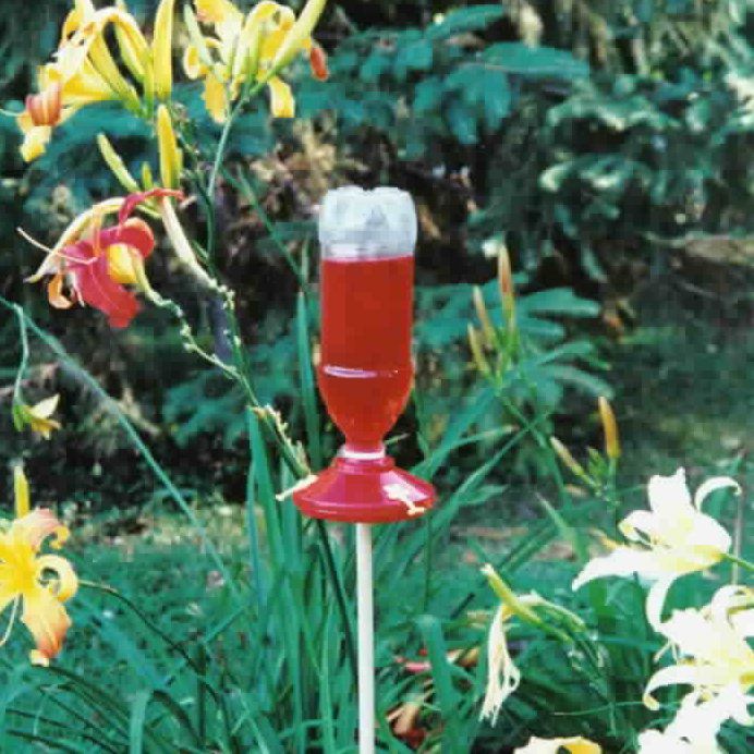 McNaughton 2Pack Soda Bottle Hummingbird Feeders Wayfair