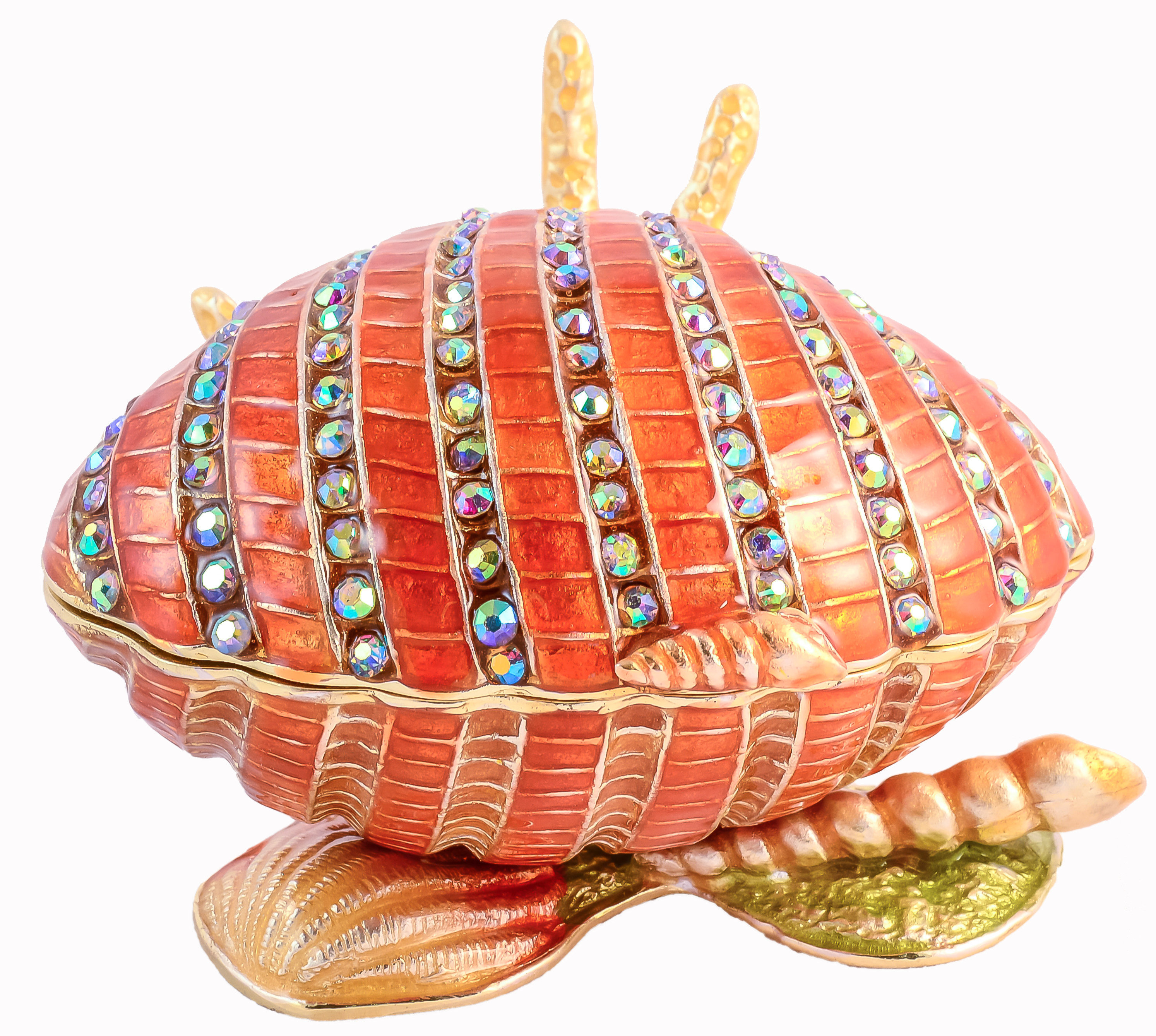 Ciel Collectables Large Clam Shell Trinket Box Wayfair