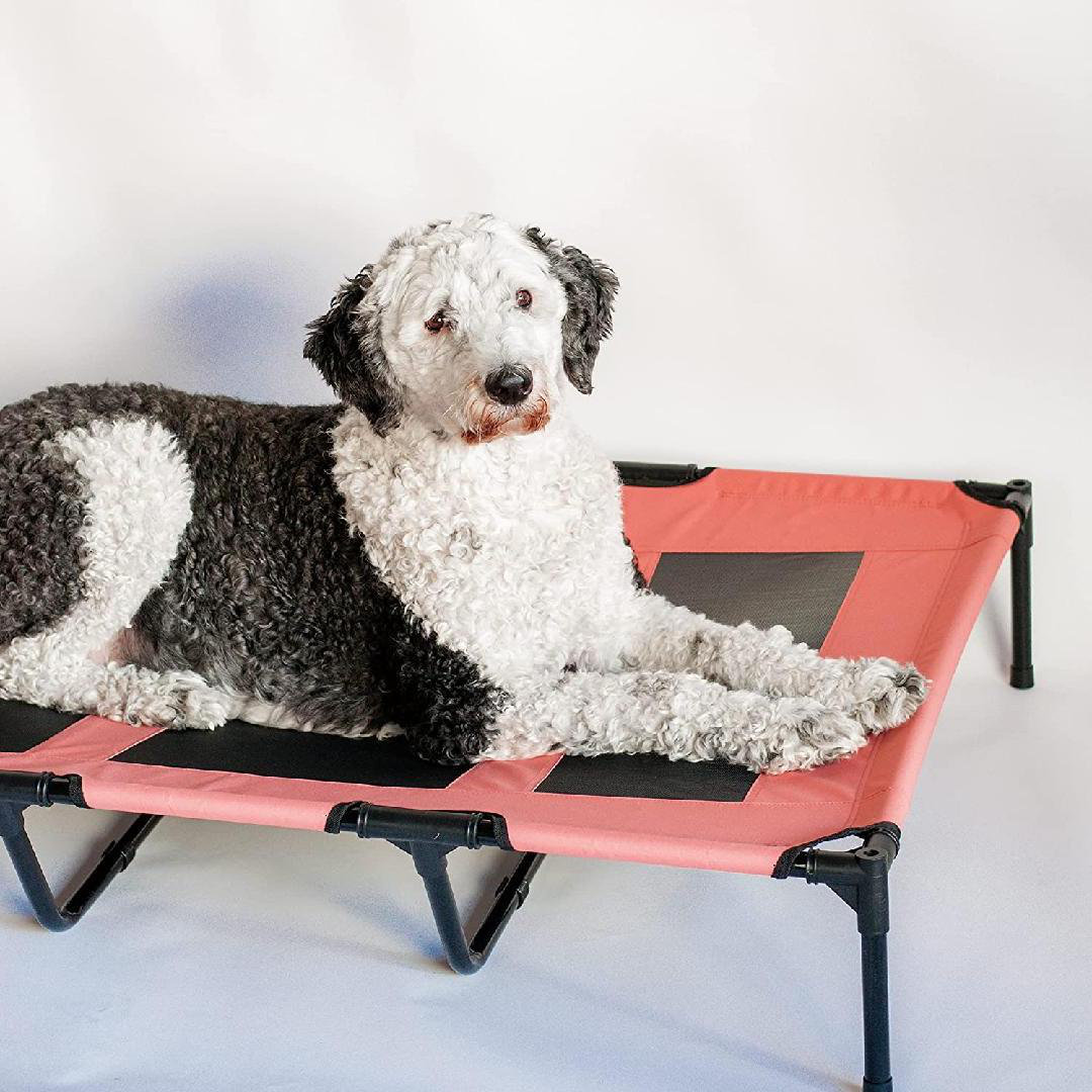 Tucker Murphy Pet™ Dog Cot With Canopy Salmon Outdoor Shade Pet Bed