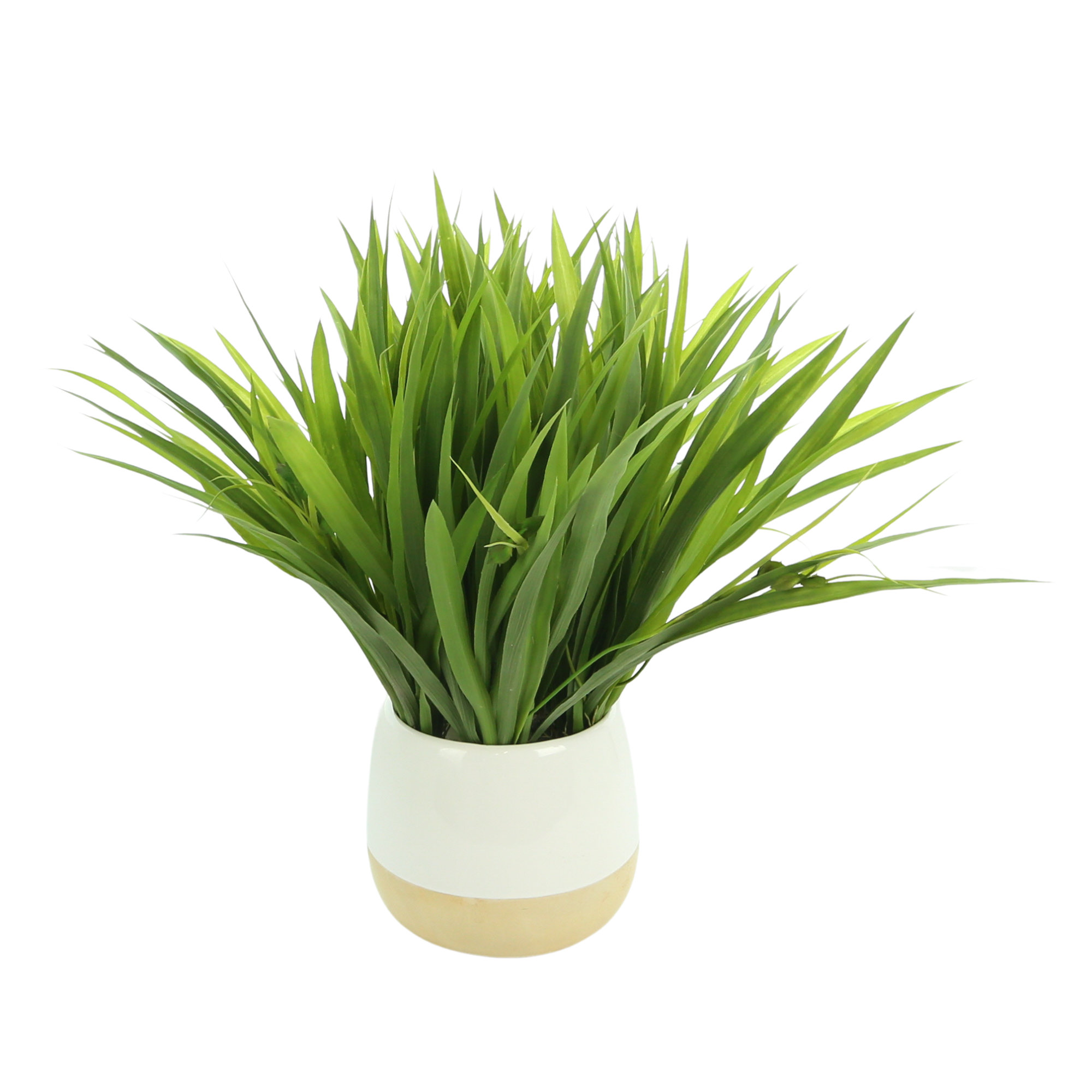 Birch Lane™ 17'' Faux Grass in Ceramic Decorative Vase Wayfair