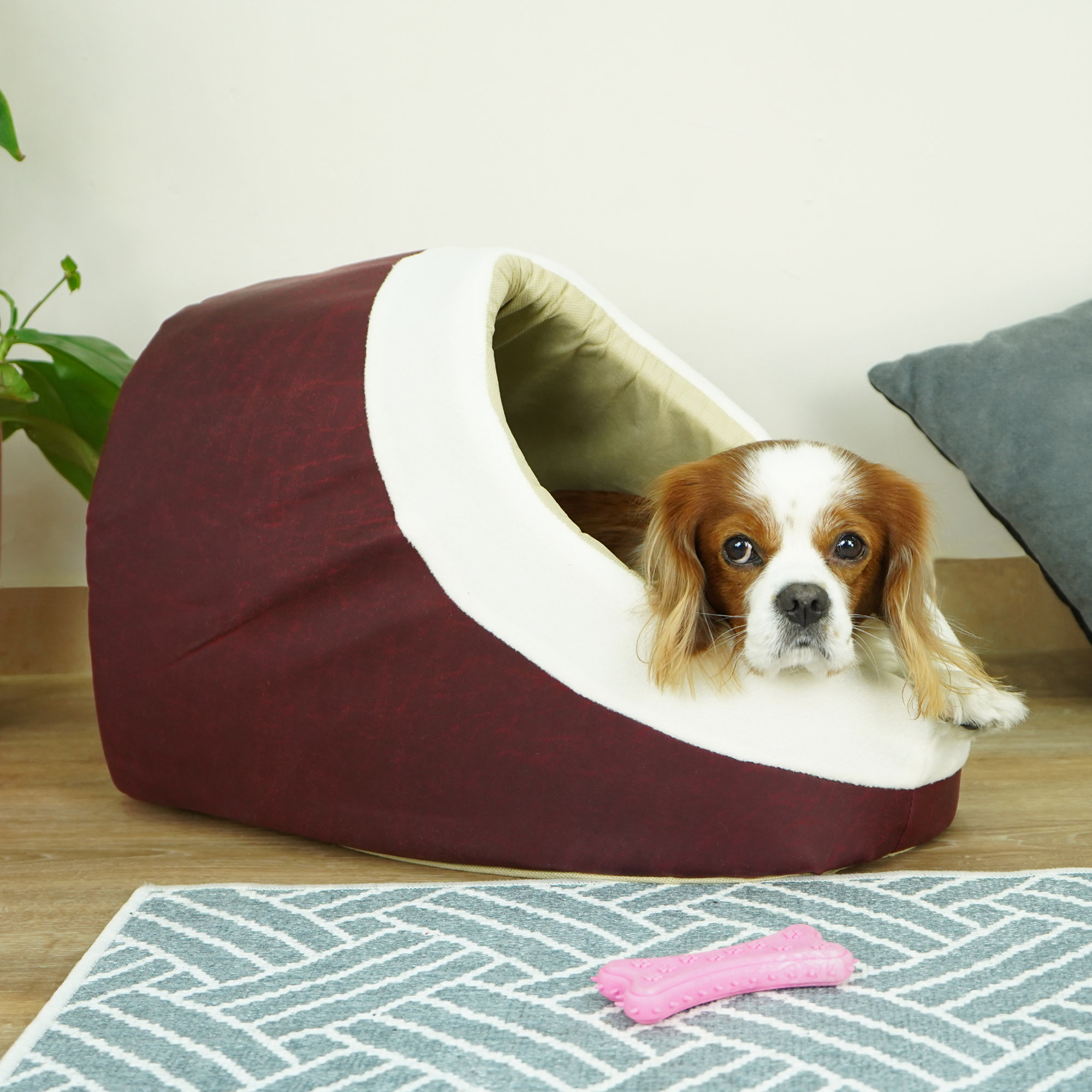 sussexhome Washable Semi Covered Hooded/Dome Dog Bed Wayfair