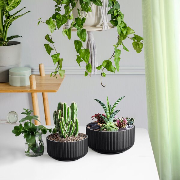 100 x 6cm Plant Pots Small Teku Rigid Strong Flower Pot Cactus Black 2.5" 