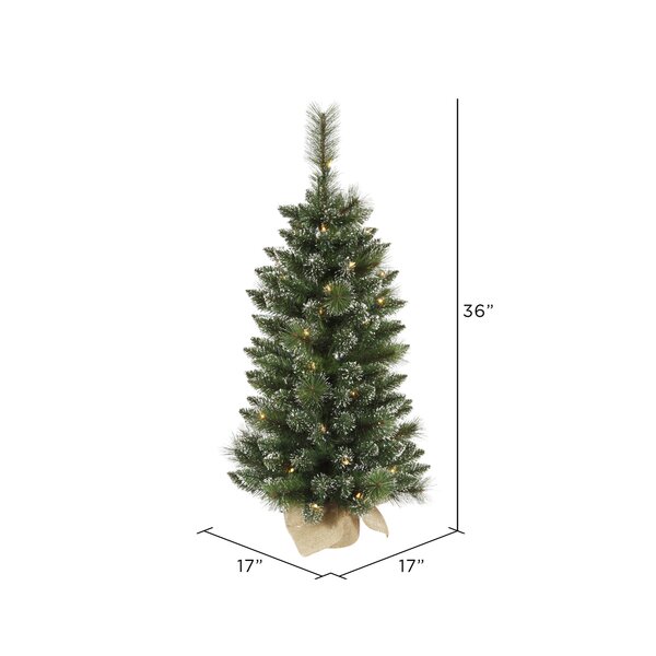 Snow Tipped Pine 36'' Lighted Artificial Pine Christmas Tree