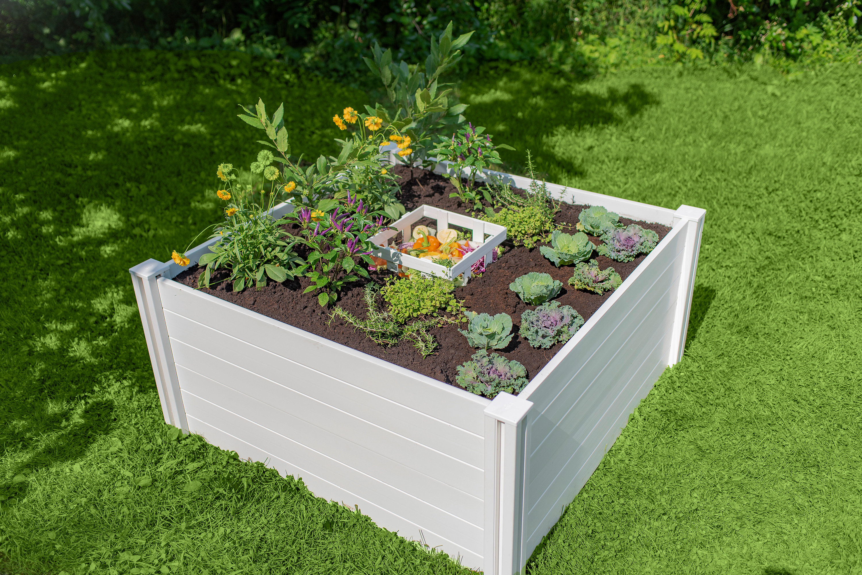 Freeport Park Elsa 122cm x 122cm Plastic Raised Flower Bed Wayfair.co.uk