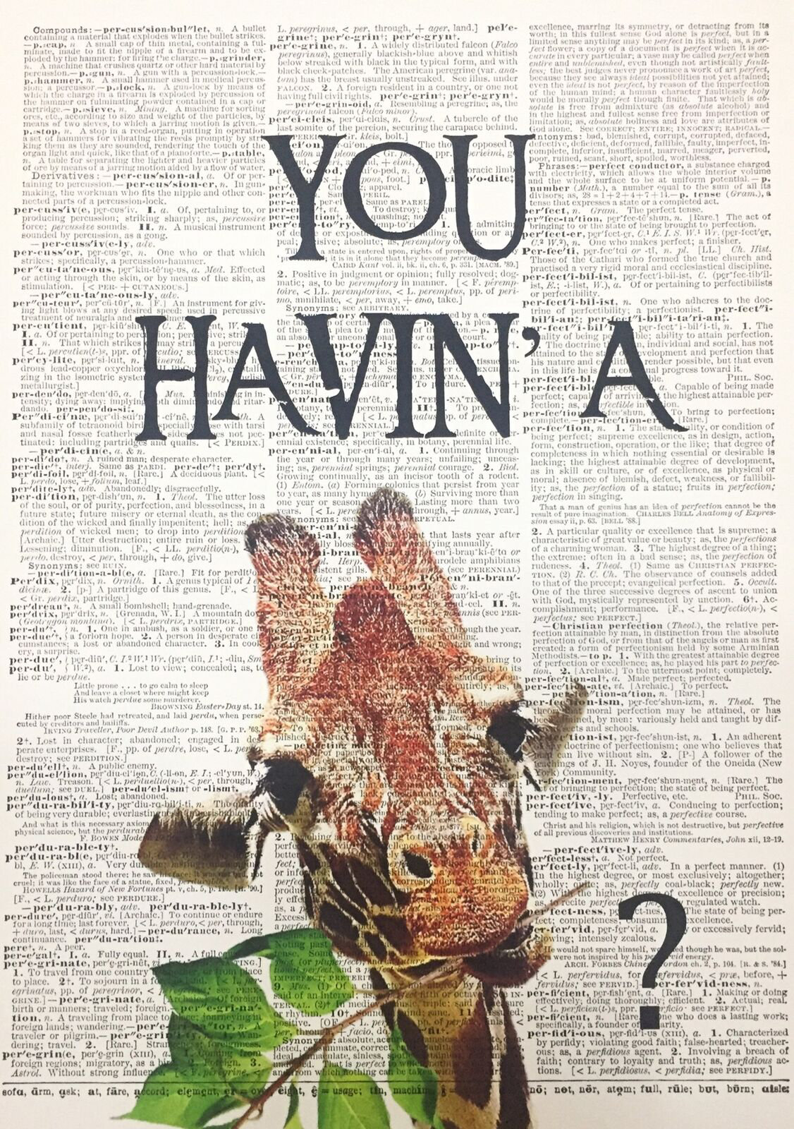 Maturi A3 Giraffe Dictionary Wall Art Print - Funny Giraffe Print - Animal  Pun Funny Animal Quote Wall Art 
