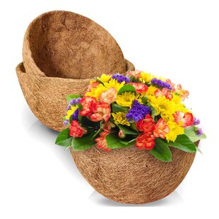 2pcs Removable Universal Wheel Durable Useful Simple Flower Pot Trays for Garden 