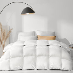 800 Fill Power Down Comforter | Wayfair