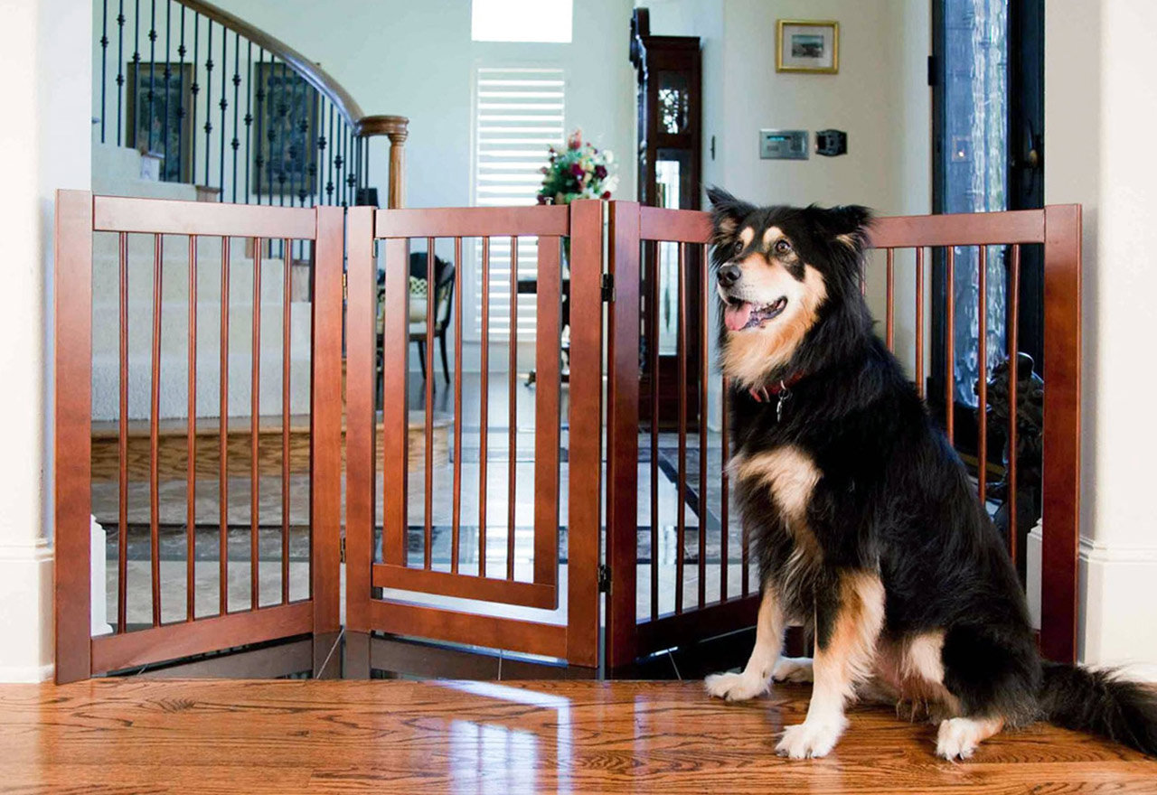 [BIG SALE] Favorite Pet Crates & Gates You’ll Love In 2022 Wayfair