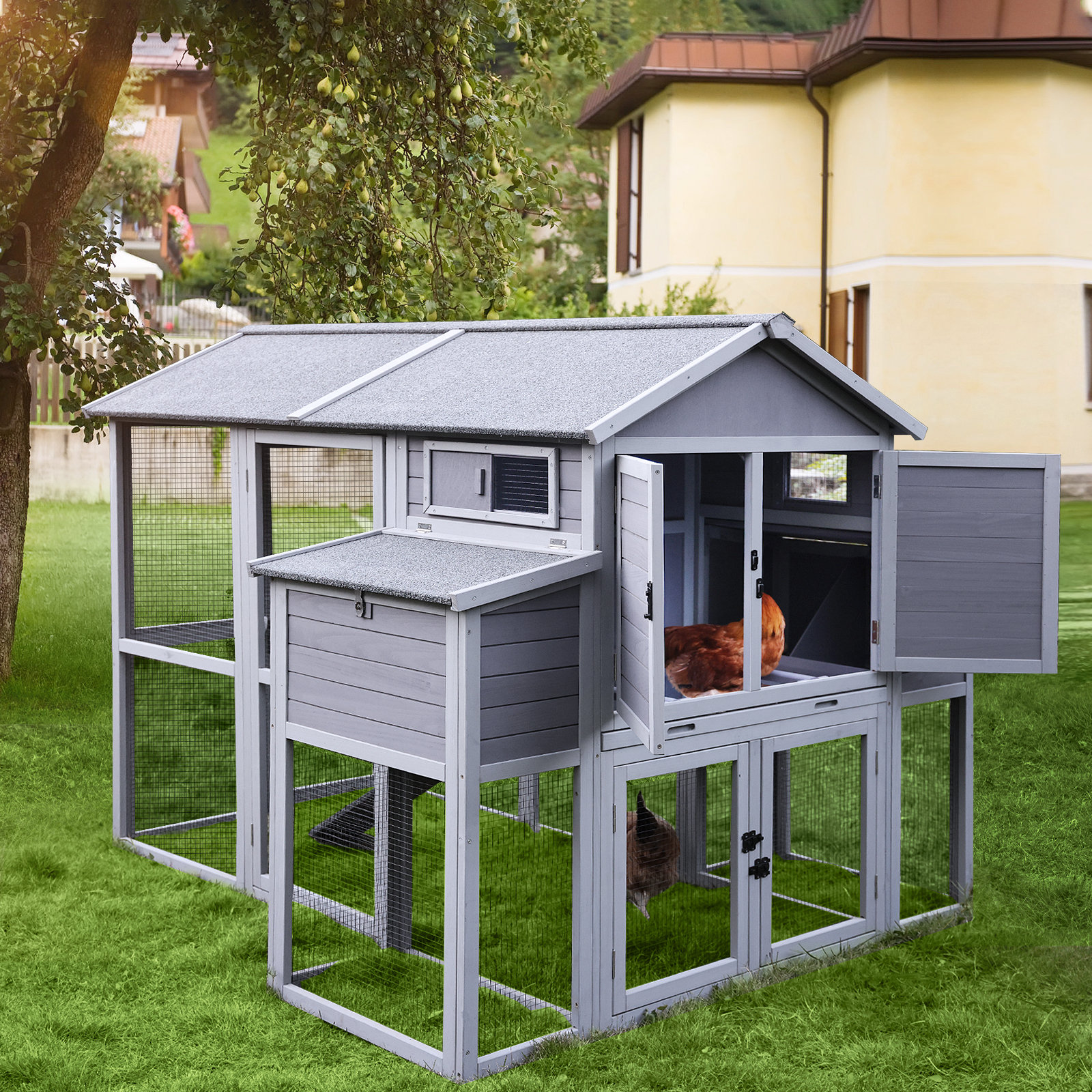 Tucker Murphy Pet™ Maggiemae 27 Square Feet Chicken Coop with Chicken
