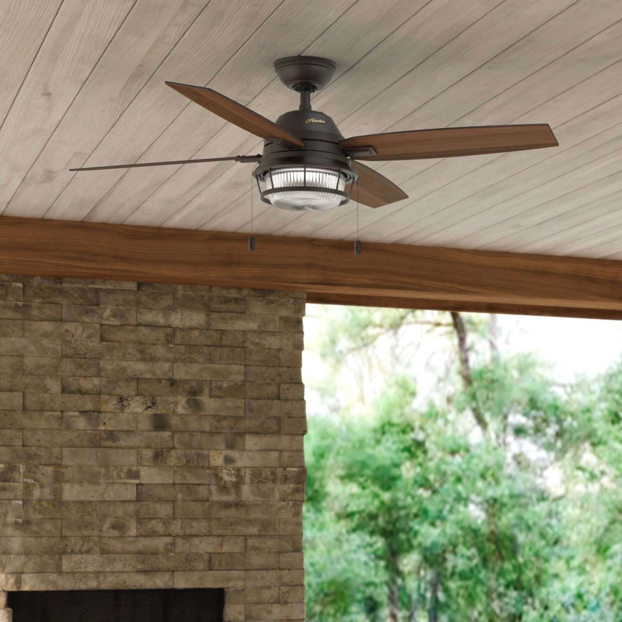 Wayfair | Hunter Fan Ceiling Fans You 