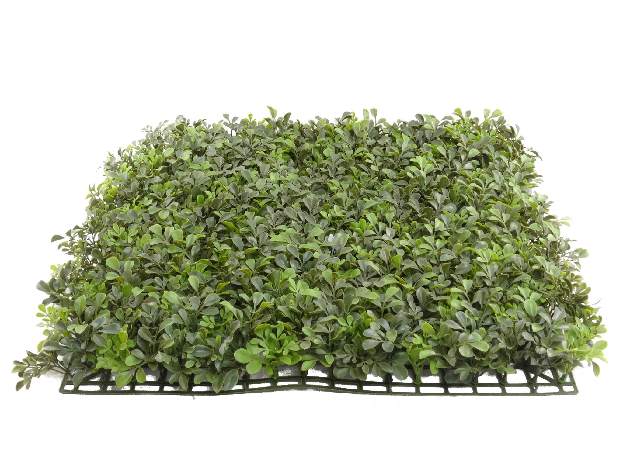 Primrue 3'' Faux Boxwood Hedge Wayfair